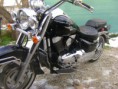 /album/suzuki-vl-1500-intruder-r-v-2006-cena-7100-eur/dsc02394-jpg/