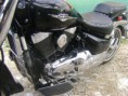/album/suzuki-vl-1500-intruder-r-v-2006-cena-7100-eur/dsc02395-jpg/